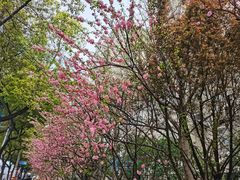 -霖公馆SPA·足道(普善路店)