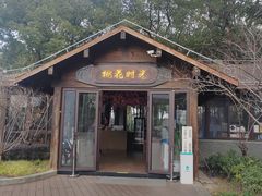 -金鸡湖桃花岛