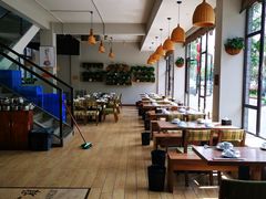 -土桥手掌鸡·26年灌县老味道(都江堰店)
