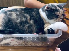 -藦茜花园宠物主题亲子互动体验馆(国顺东路店)