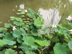 -北京宽沟会议中心