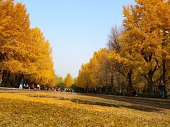 -玲珑塔公园
