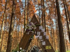 -黄海国家森林公园