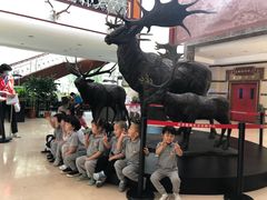 -颐泽幼儿园