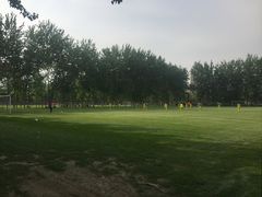 -陕西省体育训练中心-游泳馆