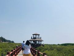 -北海金海湾红树林生态旅游区