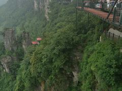 -梦幻奥陶纪景区