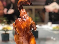 -广东道至正餐厅(区庄店)