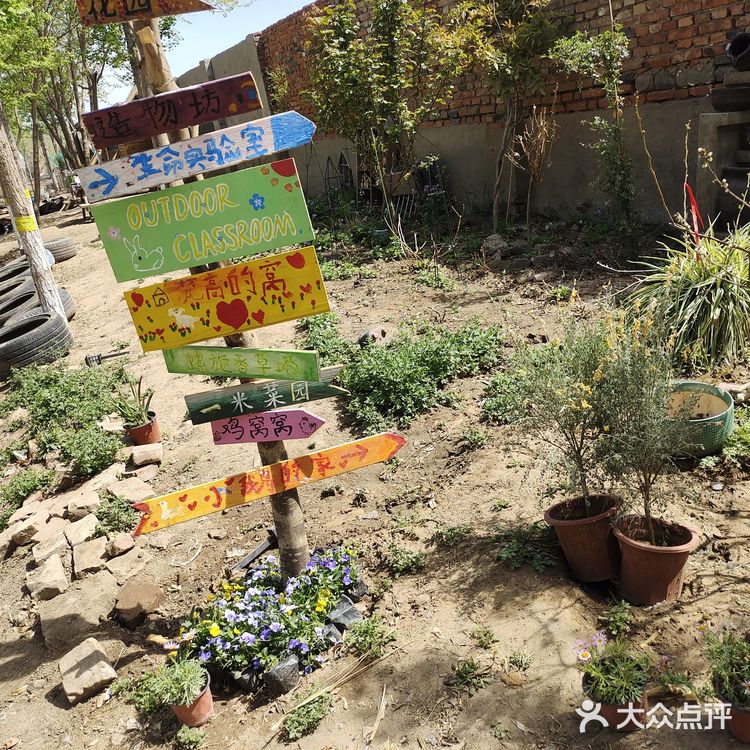 在海拉尔蒙古包品尝地道蒙古美食的独特体验