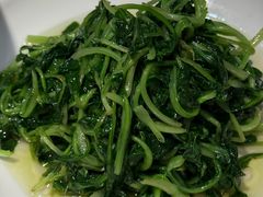 鸡毛菜-徽州小镇(高新店)