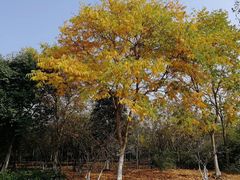 -梁鸿国家湿地公园