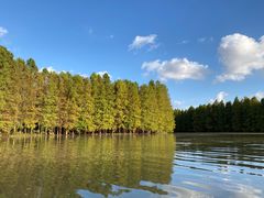 -上海海湾国家森林公园