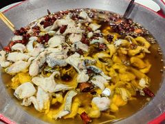 -雲蜀龙阁·金牌水煮鱼(方庄店)