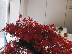-顺峰(农展馆店)
