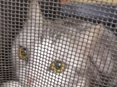 -美联众合动物医院·24h转诊中心
