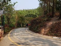 -梧桐山风景名胜区