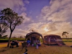 -春花秋色城市公园