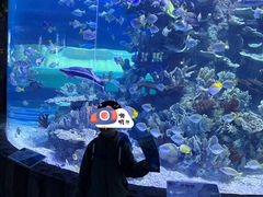 -左海海底世界