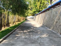 -广州神农草堂中医药博物馆