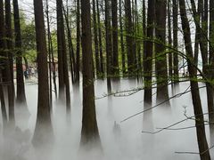 -东湖落雁景区