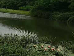 -艾溪湖湿地公园