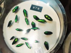 -陕西自然博物馆