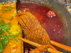 -朱光玉火锅馆(正弘城店)