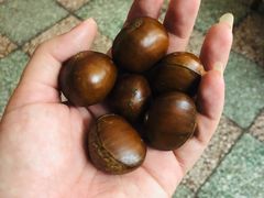 -二斗栗子(西湖道店)