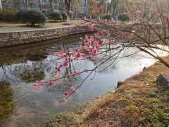 -杭州师范大学(下沙校区)