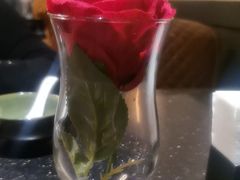 -华豫川酒家(大卫城店)