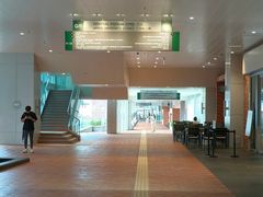 -香港大学