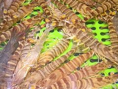 -三个渔夫·蒸汽海鲜(小白楼店)