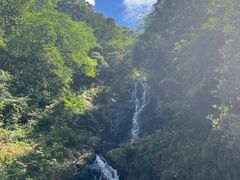 -旗山国家森林公园