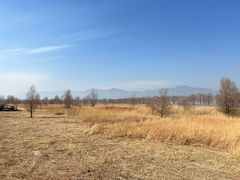 -野鸭湖国家湿地公园