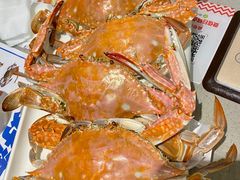 -大锅强·蒸海鲜青岛菜(城市阳台店)