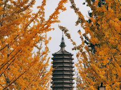 -西海子公园