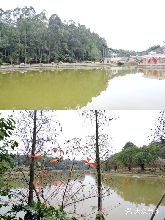 南国桃园旅游度假区图片