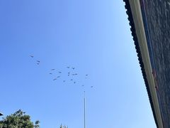 -陈家祠堂-游客中心