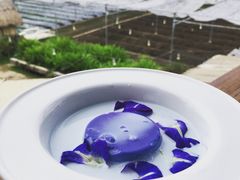 -Ohkajhu Organic Farm Sansai