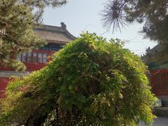 -大钟寺古钟博物馆