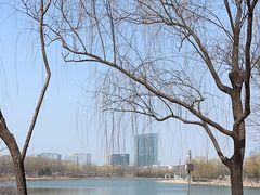 -大兴滨河森林公园