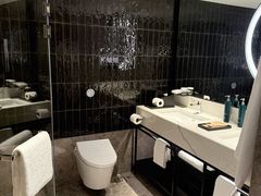 -新加坡乌节希尔顿酒店 (SG Clean)