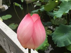 -丝绸小镇荻港古村