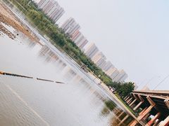 -永定河休闲森林公园