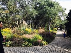 -西湖风景区-江洋畈生态公园