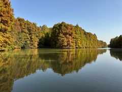 -上海海湾国家森林公园