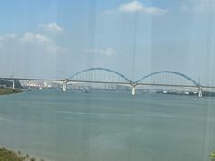 -八仔大富楼·河鲜(西江店)