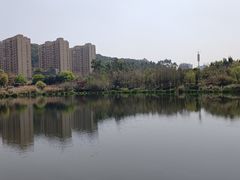 -琴亭湖公园