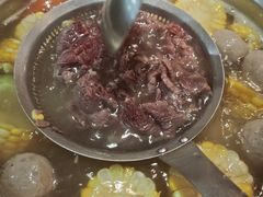 -陈记顺和潮汕牛肉火锅(韩江路店)