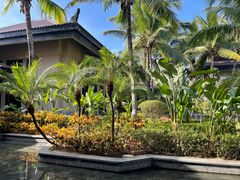 -海南清水湾莱佛士酒店